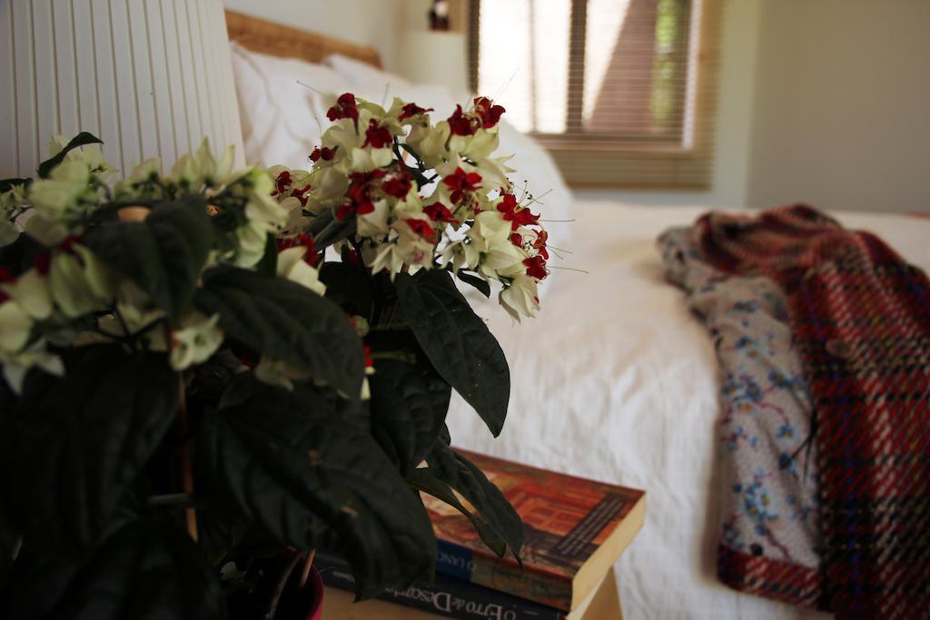 A Casa Da Arvore Bed & Breakfast Vila Nova de Milfontes Room photo