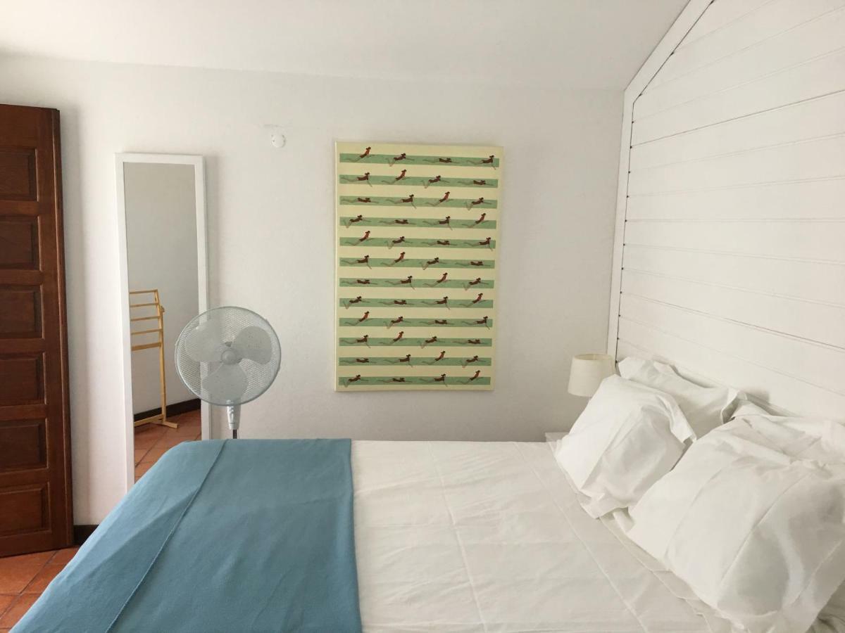 A Casa Da Arvore Bed & Breakfast Vila Nova de Milfontes Exterior photo